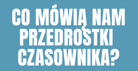 przedrostki czasownika